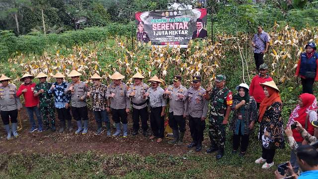 PANEN JAGUNG SATU JUTA HEKTAR TAHUN 2025